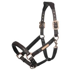 LeMieux Capella Headcollar 21 LeMieux Capella Headcollar -Famous Saddlery Shop 05fae21dff14523cd66c85fdcf8db615.image .1200x1200 d8b00c9f cdeb 48d6 8f6f 2d6db4e6359e
