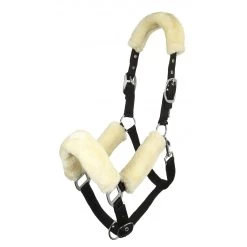 LeMieux Comfort Head Collar -Famous Saddlery Shop 0aa62e7e78fe7886d82d20bdc976fc81.image .1200x1200