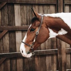 Kentucky Horsewear Leather Grooming Halter