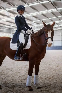 Hannah High Waisted Competition White Breech By QJ Riding Wear 9 Hannah High Waisted Competition White Breech By QJ Riding Wear -Famous Saddlery Shop 204102850 10158116065417344 5539632269890226281 n 09a5267d 6f9e 4bfb a40a 73582c9ff912