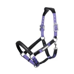 LeMieux Capella Headcollar 22 LeMieux Capella Headcollar -Famous Saddlery Shop 49756aa2dd073db855d66c4aa1baa9f4.image .1200x1200 21a11223 3564 4142 bc07 d015b0ce7a90