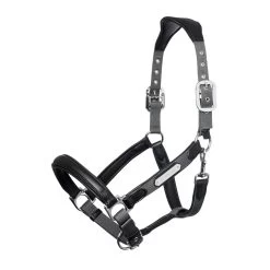 LeMieux Capella Headcollar 23 LeMieux Capella Headcollar -Famous Saddlery Shop 7f9745cdeffec950deba3eb2c6727fdd.image .1200x1200 9a8c86cc 290e 4203 bec3 c6b917800623