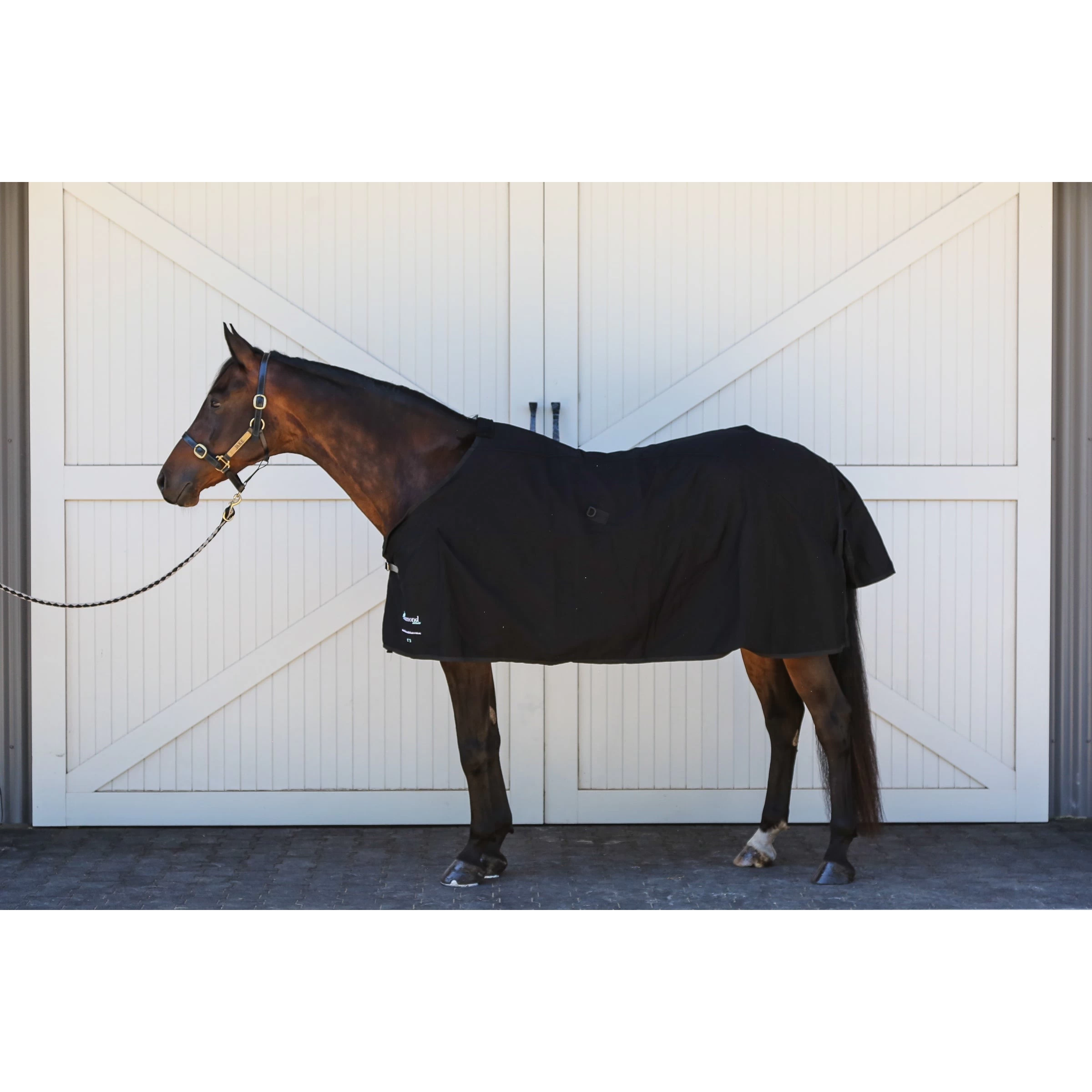 Cotton Drill Rug 2 Cotton Drill Rug - Image 2