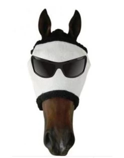 Fly Mask Mr Cool