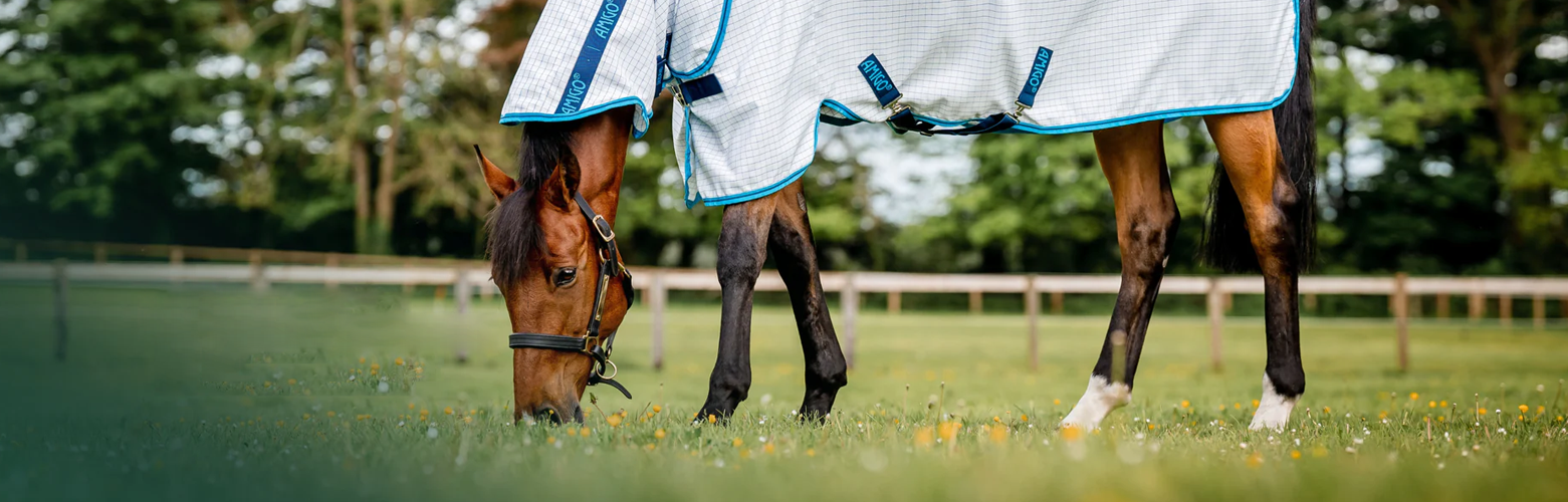 Famous Saddlery Shop -Famous Saddlery Shop JH6OX0N@RE 58IMHBT