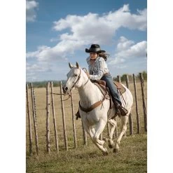 Resistol Ride Safe Helmet Black 11 Resistol Ride Safe Helmet Black -Famous Saddlery Shop RRS LS4sm 2e64005a c9b1 4ce8 8776 9c455225df7f