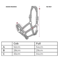 LeMieux Leather Anatomic Headcollar - High-Quality Equestrian Gear -Famous Saddlery Shop Screenshot 20220301 124416