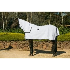 Famous Saddlery Shop -Famous Saddlery Shop WEB DD18 18