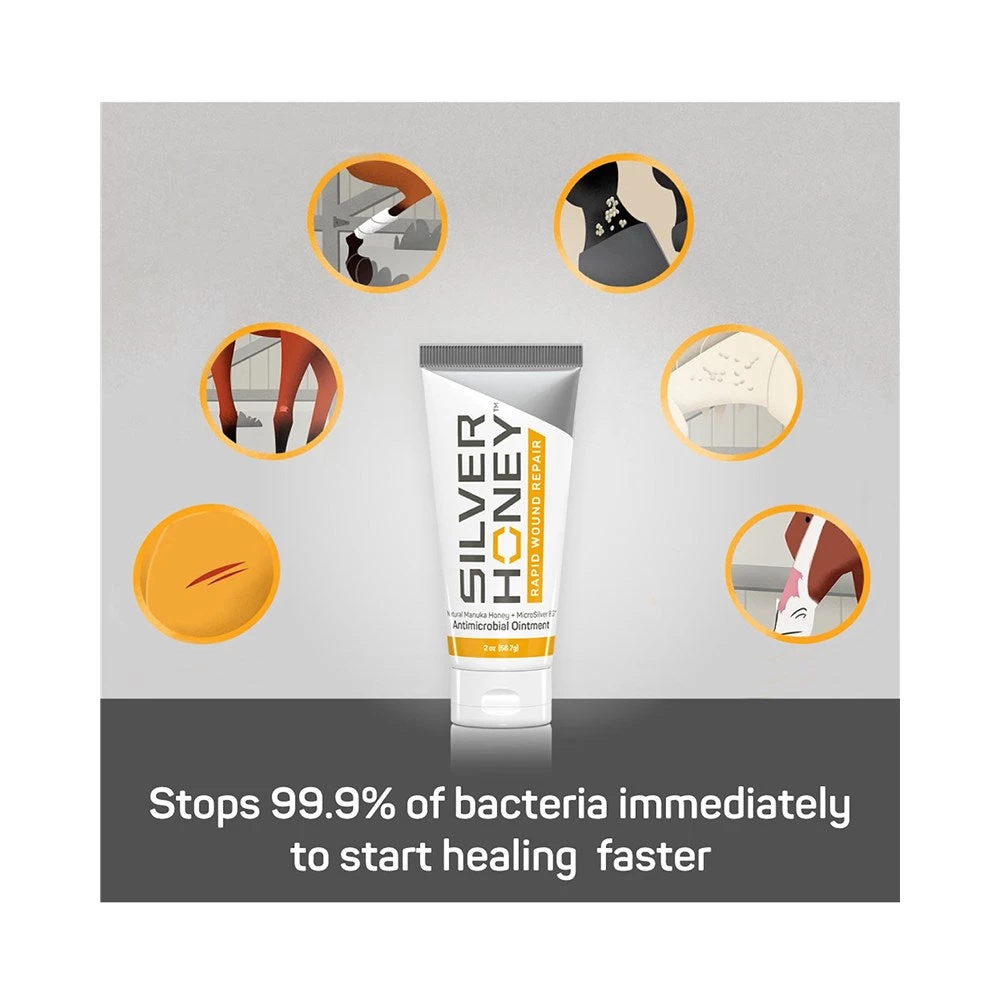 Absorbine's Silver Honey Ointment 2 Absorbine's Silver Honey Ointment - Image 2