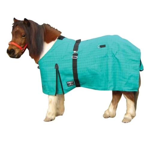 Canvas Mini Rug - Eureka 1 Canvas Mini Rug - Eureka