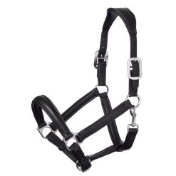 LeMieux Leather Anatomic Headcollar - High-Quality Equestrian Gear -Famous Saddlery Shop fe13335033632a74b23833f17346f1e2.image .1200x1200
