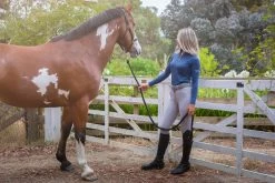 Light Grey Kate Breech By QJ Riding Wear 5 Light Grey Kate Breech By QJ Riding Wear -Famous Saddlery Shop katedovegrey 9a090d8c f2db 4ecb b35c 63664bb6536d