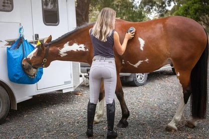 Light Grey Kate Breech By QJ Riding Wear 2 Light Grey Kate Breech By QJ Riding Wear - Image 2