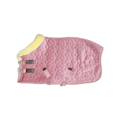 Kentucky Horsewear Velvet Show Rug -Famous Saddlery Shop kentucky horsewear velvet show rug trailrace equestrian outfitters 6