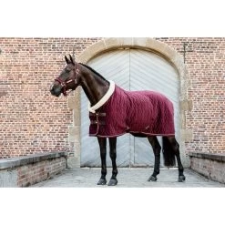 Kentucky Horsewear Velvet Show Rug -Famous Saddlery Shop kentucky horsewear velvet show rug trailrace equestrian outfitters 8