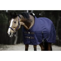 Kentucky Stable Rug - 0g