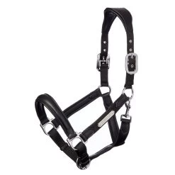 LeMieux Capella Headcollar 17 LeMieux Capella Headcollar -Famous Saddlery Shop lemieux capella headcollar halter 3 2153a118 9bc8 4ee6 904f 08ccca9a651f