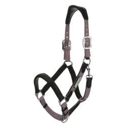 LeMieux Capella Headcollar 20 LeMieux Capella Headcollar -Famous Saddlery Shop lemieux capella headcollar halter 6 cd9dcaba b405 4c93 a753 77f1b13b7c9b