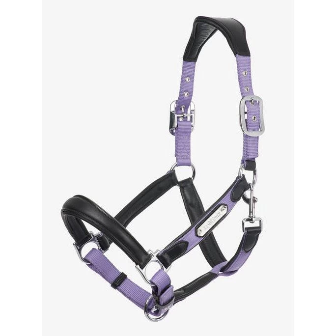 LeMieux Capella Headcollar 15 LeMieux Capella Headcollar - Image 15
