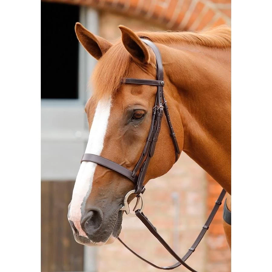 Premier Equine Primo Hunter Bridle 1 Premier Equine Primo Hunter Bridle