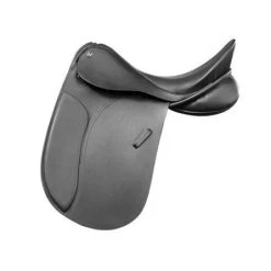 Royal - Dressage/Show